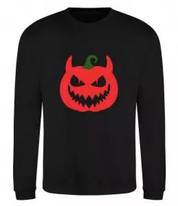 Світшот Світшот