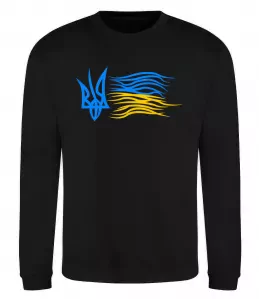 Свитшот Герб і Прапор України Черный фото