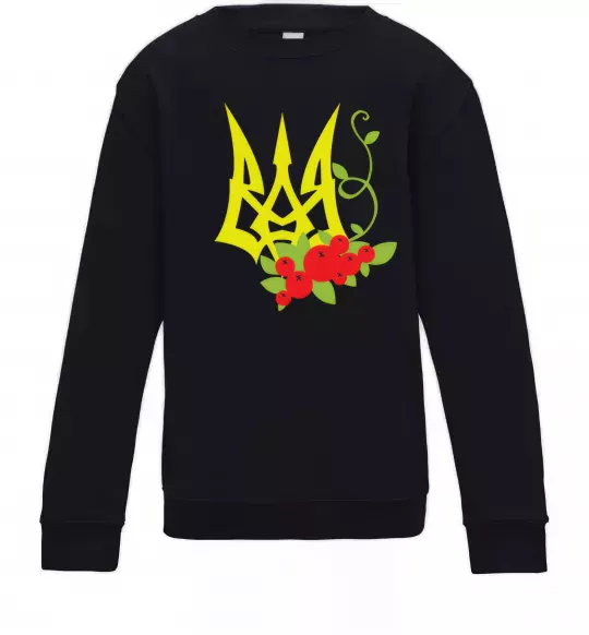 Детский Свитшот Герб з калиною Черный фото