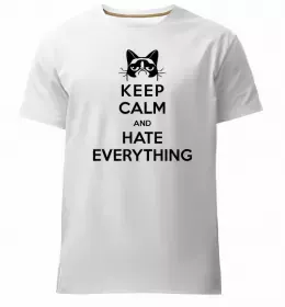 Мужская премиум футболка