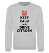 Свитшот Drive citroen Серый меланж фото
