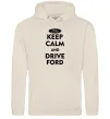 Мужская толстовка (худи) Drive Ford Таш фото
