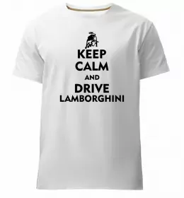 Мужская премиум футболка Need money for Lamba Черный фото