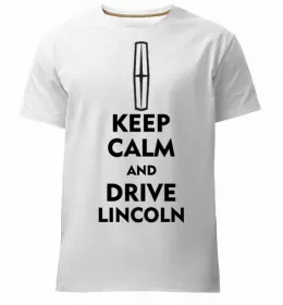 Мужская премиум футболка Need cash for Lincoln Черный фото