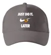 Кепка just do it later Серый фото