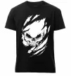 Мужская премиум футболка Череп ексклюзив Черный фото