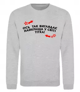 Свитшот Ось так виглядає найкраща у світі тітка Серый меланж фото