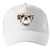 Кепка EYEGLASSES BULLDOG Белый фото