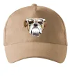Кепка EYEGLASSES BULLDOG Песочный фото