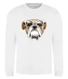 Світшот EYEGLASSES BULLDOG Білий Світшот EYEGLASSES BULLDOG Білий фото