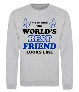 Свитшот This is the worlds best friend looks like