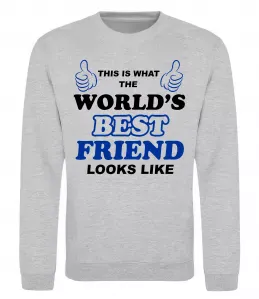 Свитшот This is the worlds best friend looks like Серый меланж фото