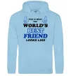 Чоловіча толстовка (худі) This is the worlds best friend looks like Блакитний фото