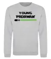 Свитшот Young Padawan Серый меланж Свитшот Young Padawan Серый меланж фото