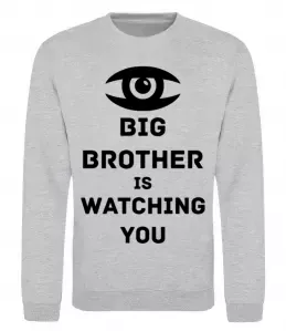 Свитшот Big brother is watching you (глаз) Серый меланж фото