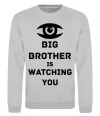 Свитшот Big brother is watching you (глаз) Серый меланж фото