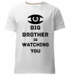 Мужская премиум футболка Big brother is watching you (глаз) Белый фото