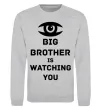 Свитшот Big brother is watching you (глаз) Серый меланж фото