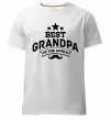 Чоловіча преміум футболка Best grandpa in the world Білий фото
