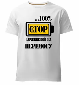 Чоловіча преміум футболка