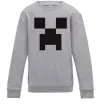 Детский Свитшот Minecraft logo Серый меланж фото