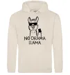 Мужская толстовка (худи) No drama llama Таш фото