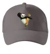 Кепка Kung Fu Panda Серый фото