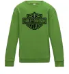 Детский Свитшот Harley Davidson Лаймовый Детский Свитшот Harley Davidson Лаймовый фото