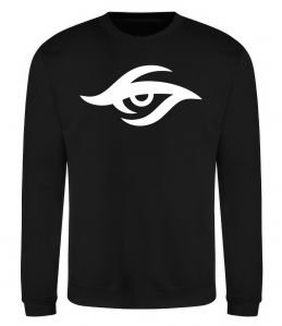 Свитшот Team secret