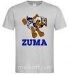Чоловіча футболка Zuma Сірий фото