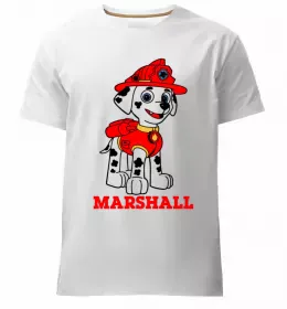 Чоловіча преміум футболка