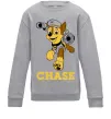 Детский Свитшот Chase Серый меланж фото