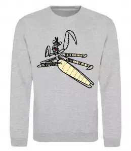 Світшот Світшот