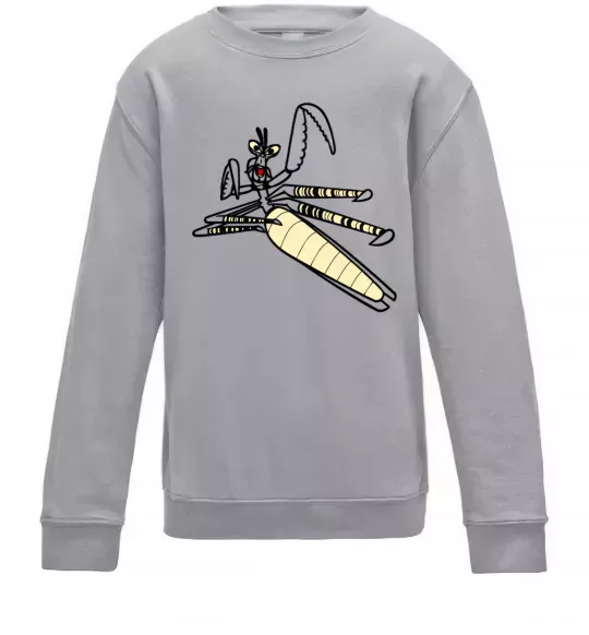 Детский Свитшот Майстер Богомол Серый меланж фото