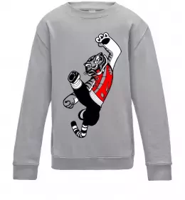 Дитячий світшот Strong panda Сірий меланж фото