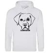 Мужская толстовка (худи) Labrador Серый меланж фото