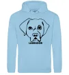 Женская толстовка (худи) Labrador Голубой фото