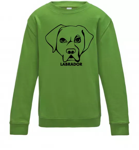 Детский Свитшот Labrador Лаймовый фото