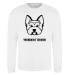 Свитшот Yorkshire terrier Белый фото