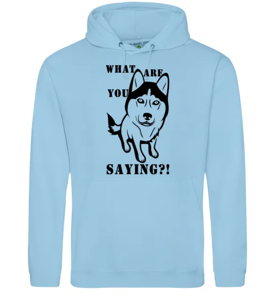 Мужская толстовка (худи) What are you saying Голубой фото