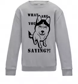 Дитячий світшот What are you saying Сірий меланж фото