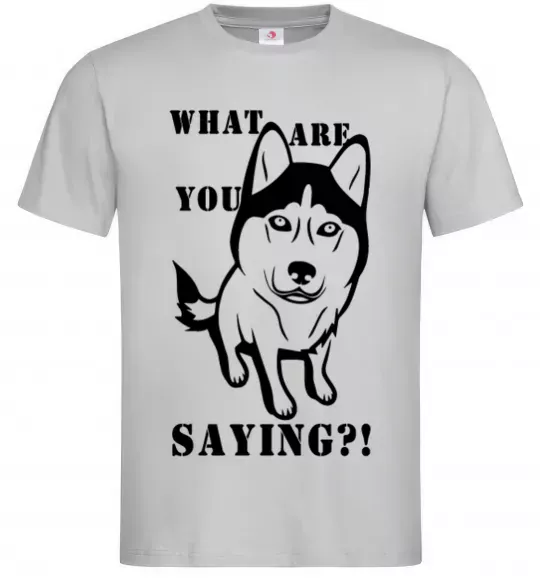 Мужская футболка What are you saying Серый фото