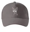 Кепка Serious sphinx Сірий фото