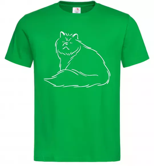 Чоловіча футболка Persian Зелений фото