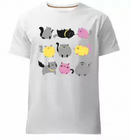 Мужская премиум футболка