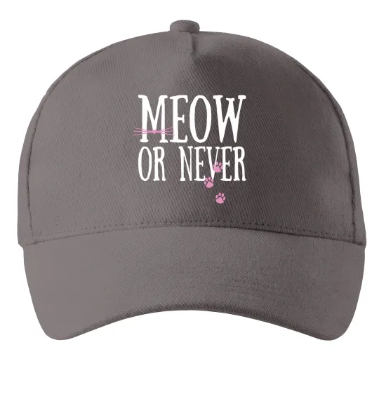 Кепка Meow or never Серый фото