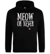 Женская толстовка (худи) Meow or never Черный Женская толстовка (худи) Meow or never Черный фото