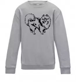 Дитячий світшот Spitz Pomeranian Сірий меланж фото