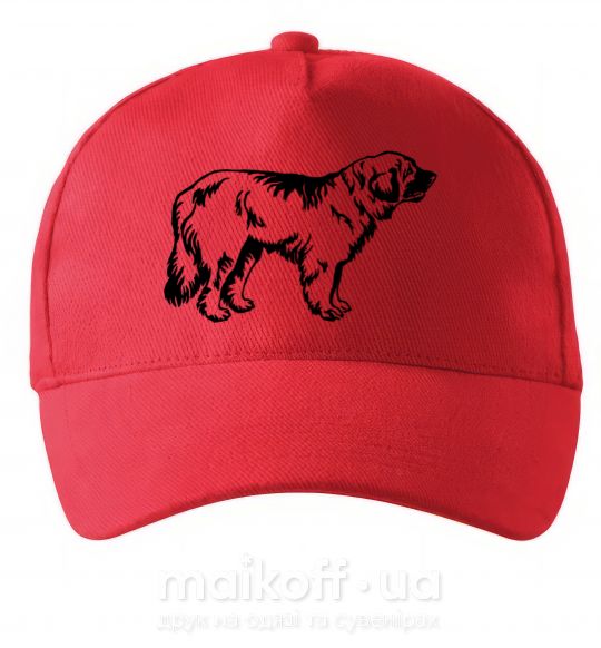 Кепка Leonberger dog Красный фото
