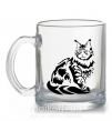 Чашка стеклянная Maine Coon cat Прозрачный фото